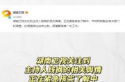 娱乐圈的那个吃瓜文件,真相与谣言的交织